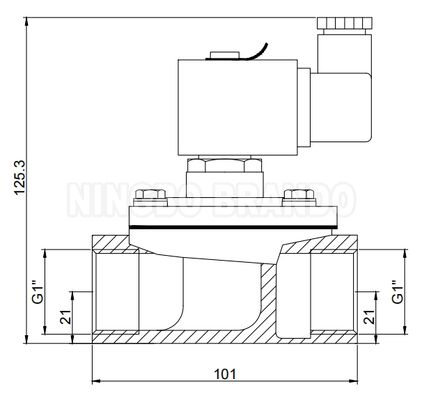 Valvola a getto a impulso diretto per raccoglitore di polveri da 1' 24V 110V 220V