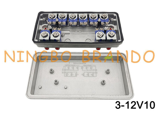 3-12V10 GOYEN Tipo pilota remoto Valvola solenoide 12V 24V 110V 220V