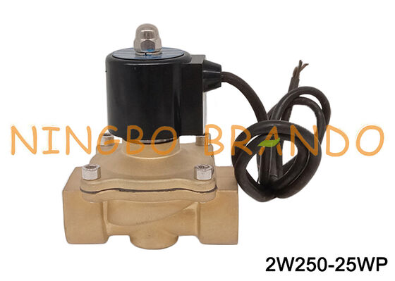 Elettrovalvola a fontana impermeabile in ottone da 1 '' 24 V CC 220 V CA