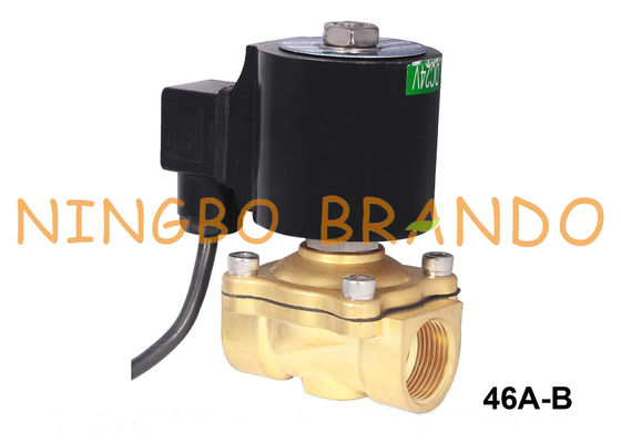 Elettrovalvola a solenoide d'ottone subacquea a 3/4 pollici IP68 per la fontana 24V 220V