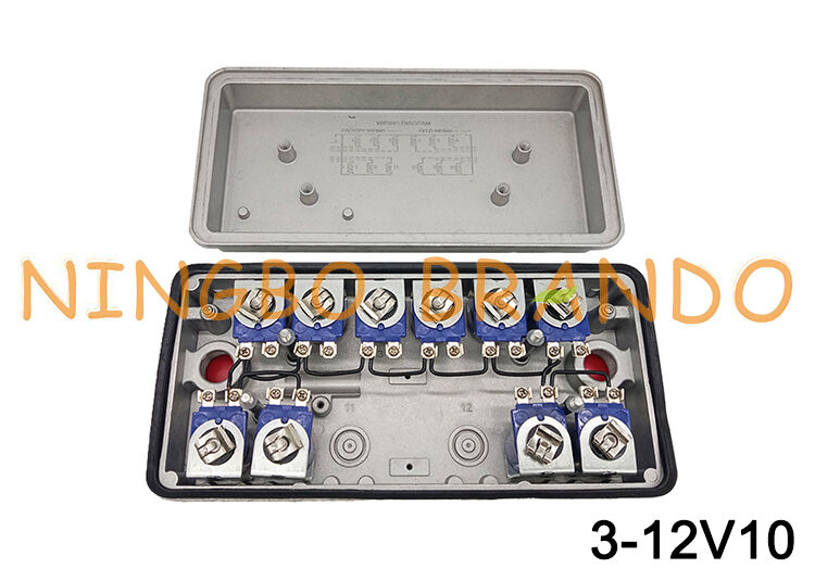 3-12V10 GOYEN Tipo pilota remoto Valvola solenoide 12V 24V 110V 220V