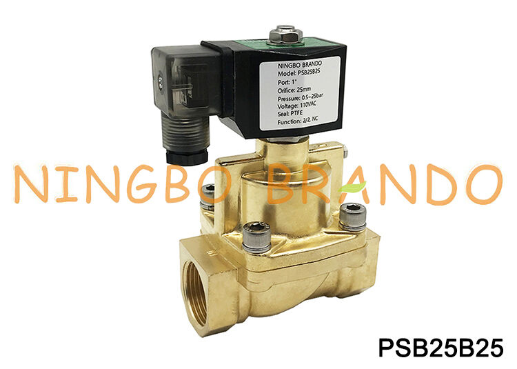 Elettrovalvola vapore da 1'' 2/2 vie normalmente chiusa Ottone 24V 110V 220V