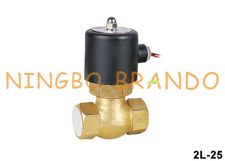 2L-25 US-25 1&quot; elettrovalvola a solenoide d'ottone DN25 per vapore 24V 220V