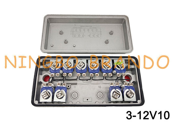 3-12V10 GOYEN Tipo pilota remoto Valvola solenoide 12V 24V 110V 220V